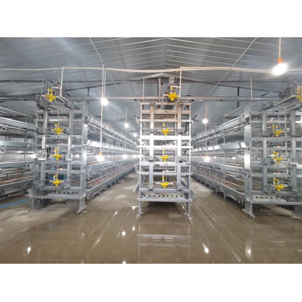 H Type Chicken Feeder Cage Animal Laying Chicken Cages For Broilers And Chicks
