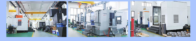 Food Grade Plastic Injection Mould P20/718/738/NAK80/S136 Material For Customized Pet Tray