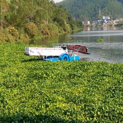 Lixo urbano do canal que recolhe o jacinto de água da descarga do barco