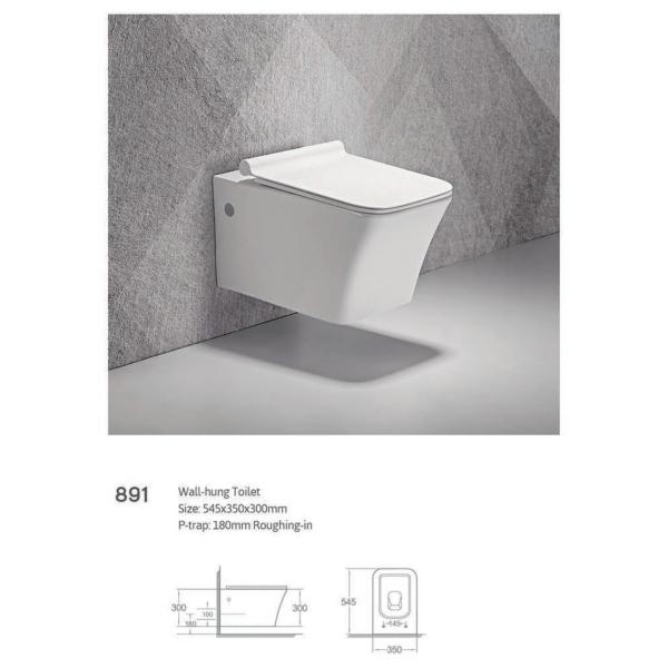 Wall Hung Bathroom Sanitary Ware Washdown Floating Toliet Bowl Closestool