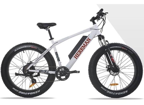 48V 500W 8Fun Brushless Motor Mountain Electric Bicycle MTB Electric Powered Bike with LCD Display