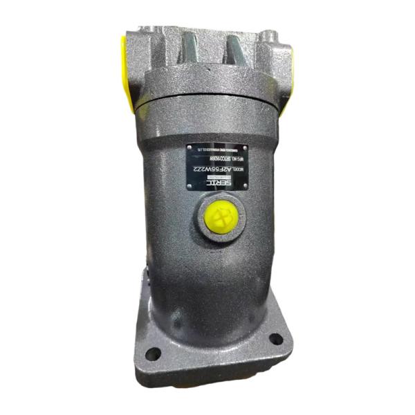 A2F Series Axial Piston Pumps A2F55W2Z2 A2F107L2Z3 A2F107W2P2