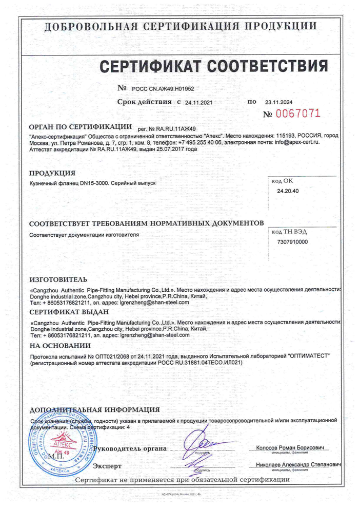 ASME Pn100 Dn100 выковало выскальзывание фланца стали углерода плоское на поднятой шеи сварки стороны