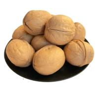 Vente en gros d'usine chinoise de grande qualité de noix de Xinjiang en fruits et noix décortiqués et séchés produits les plus vendus Amazon