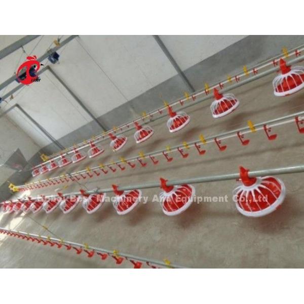 Tipo de suelo de acero inoxidable Equipo de granja avícola Sistema automático de alimentación y bebida Adela