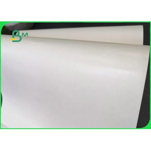 Disposable 300gsm + 10g PE Lunch Box Paper For Food Packing 100% Biodegradable