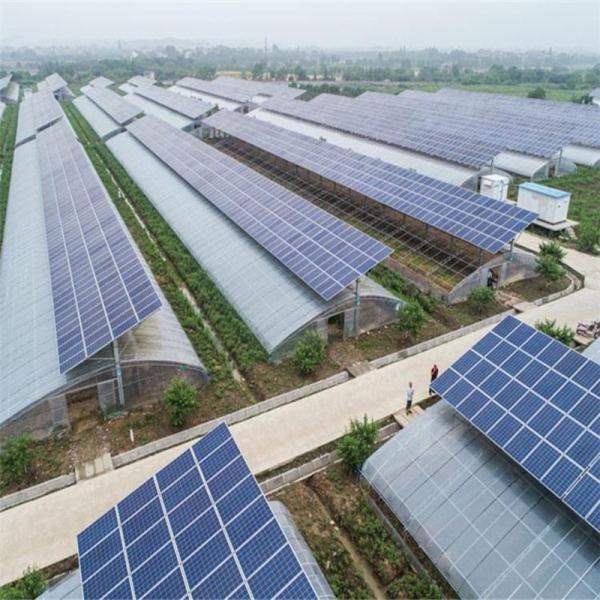 Cultivation Method Hydroponics US Regulated Glass Greenhouse for Vegetable/Flower/Fruit