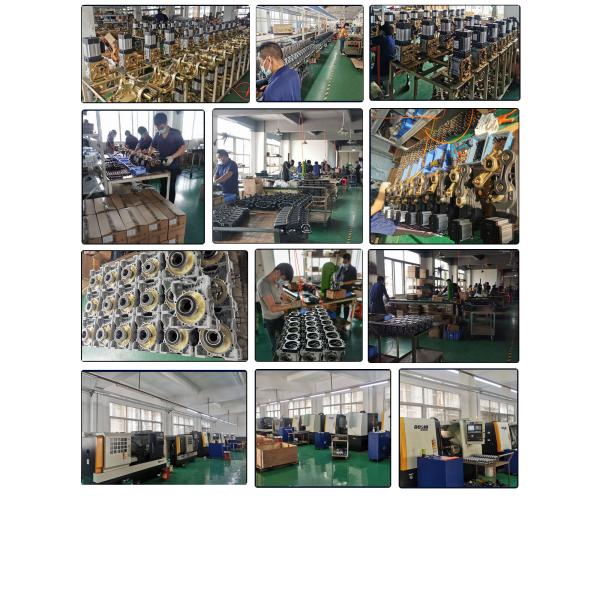 Электрический двигатель 180 Вт для борьбы с взрывом для платных коридоров AC220V Время работы 3/9S