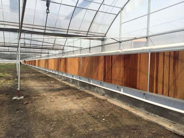 Heat Preservation Dome Style Greenhouse , Plastic Film Greenhouse With Cooling System