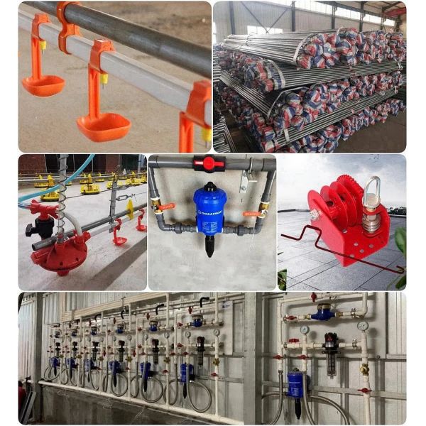 Customized Corrosion Resistant Poultry Farm Ventilation System with Hot-Dip Galvanized Steel and Easy Assembly