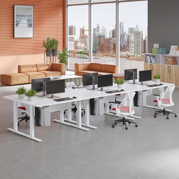 Intelligent Electric Dual Motor Sit Stand Desk for Office and School Workstations