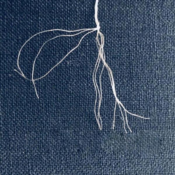 Bright Black / Red Industrial Nylon6 FDY Yarn High Tenacity 100D To 6000D