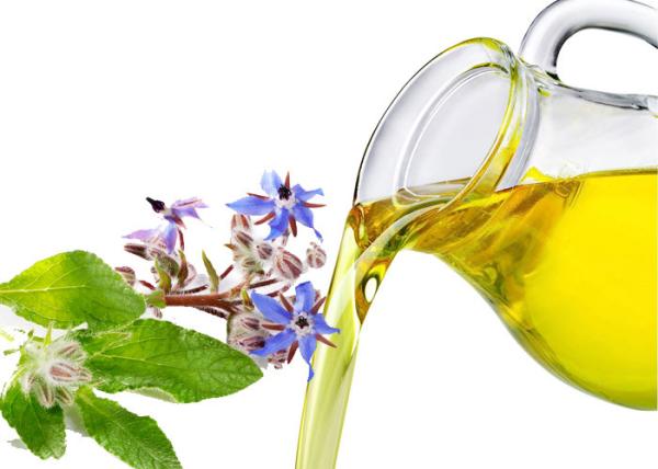 Yellow Colored Liquid Organic Borage Oil Cold Pressed Extraction Process
