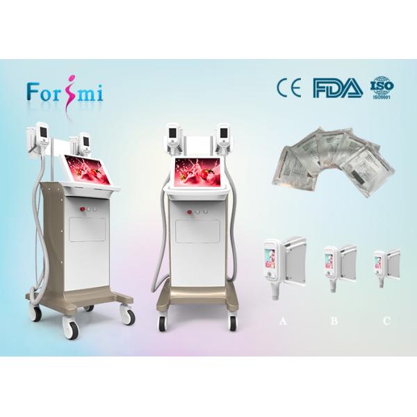 15 inch big screen cryolipolysis slimming machine in best price