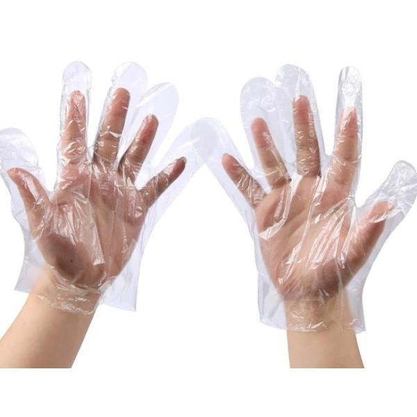 Clear Disposable PE Gloves / Cleaning Prepare Food Decorating Powder Free PE Gloves