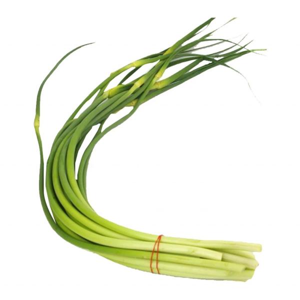 Little Green Garlic Shoot Garlic Steam Sprout A Delicious Twist on Traditional