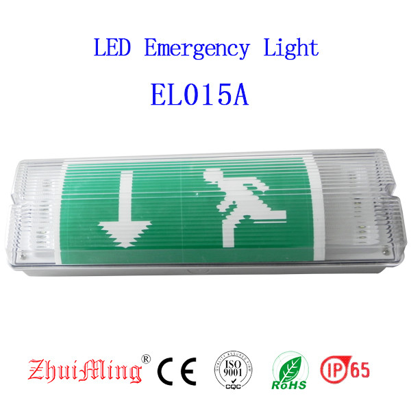 Wall Surface Mounted Waterproof Emergency Bulkhead Light LED IP65 EL015AMN