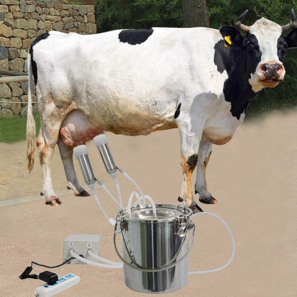 Leite da exploração agrícola de leiteria do OEM único que suga a máquina de ordenha 220V da vaca da máquina