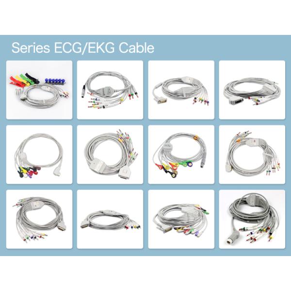 Medical Consumables Ekg Cable Customized 10 Lead Bionet ECG Cable