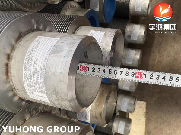 ASME SA213 TP304  Stainless Steel Seamless Tube 11-13 Cr Fin HF Welding Fin Tube for Cement Industry
