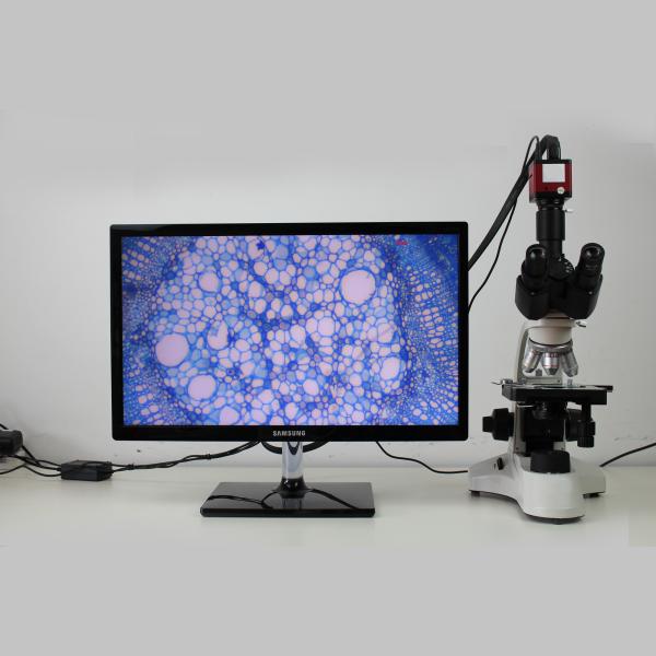 Factory price Economical 40x-1600x binocular biological microscope Microscope