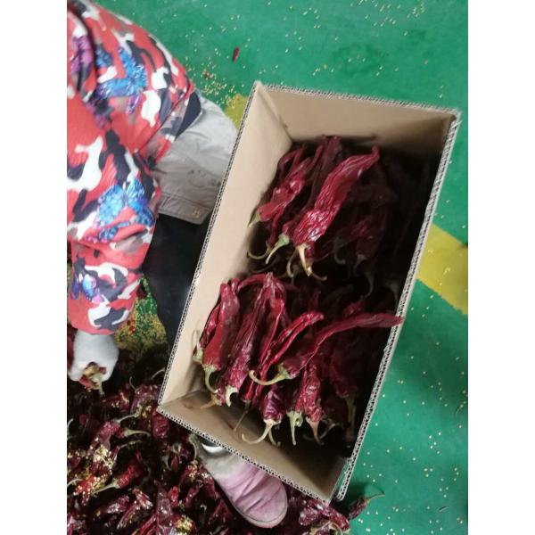 Nutrition Facts High In Vitamin C Sweet Paprika Pepper Natural Red Colour Impurity 1%