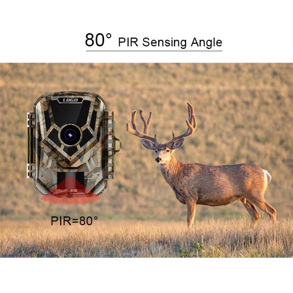 Portable 20m Night Vision Trail Camera 2 Inch Screen HD 1080p Wildlife Motion Camera