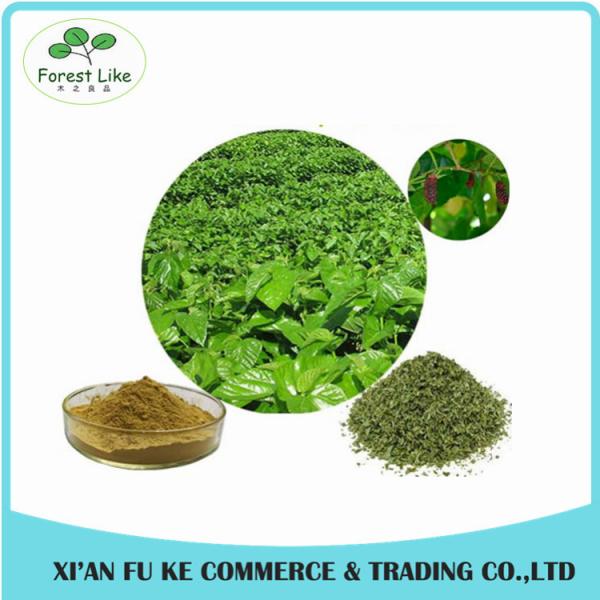High Quality Mulberry Leaf Extract Powder/Natural Mulberry Extract 1% 1-Deoxynojirimycin(1-DNJ)