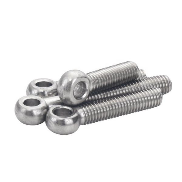 Factory Direct Sales DIN444/GB798 M6-M42 Eye Bolt, Fisheye Bolt, and Lifting Ring Nut