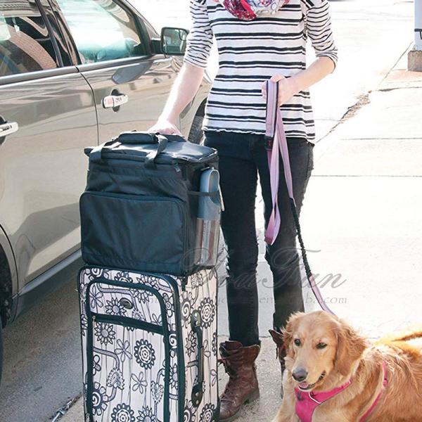 Pet Dog Carry On Luggage Pet Travel Bag