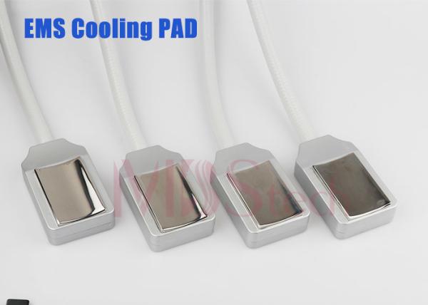 Máquina do emagrecimento de Cryolipolysis da inquietação