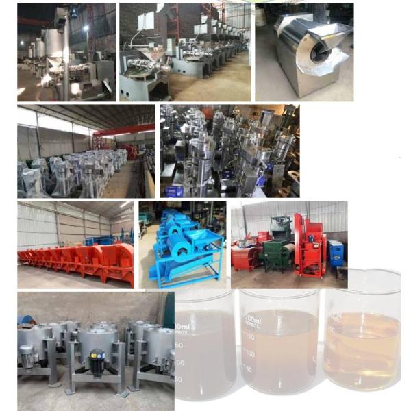 30 KW масла арахиса емкости машины прессы масла сои большого делая машину