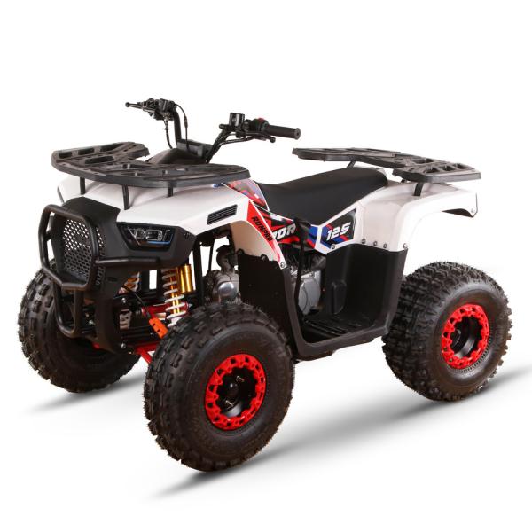 125cc 110cc 4 Stroke Mini Quad EPA Adult ATVs 4 Wheeler ATV for Kids/Teenager Buggy ATV