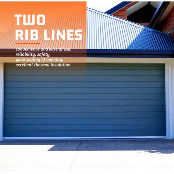 Powder Coated Insulated Sectional Doors Factory Double Overhead Insulated Sectional Vertical