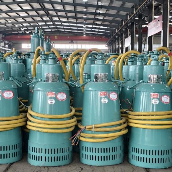 BQS 11kw Explosion Proof Submersible Electric Pump 3000 R/Min Industrial Sewage Pumps