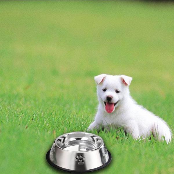 Stainless Steel Dog Bowls, Dog Feeding Bowls, Dog Plate Bowls with Rubber Base,Small Pet Feeder Water Bowls