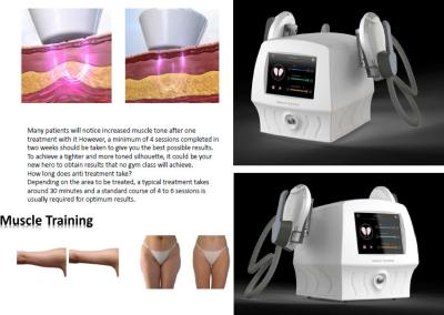 Máquina do emagrecimento de 7 Tesla LaserTell Hiemt EMS