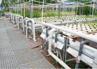 Auto Circulation PH Stable Dwc Grow System Deep Water Hydroponics