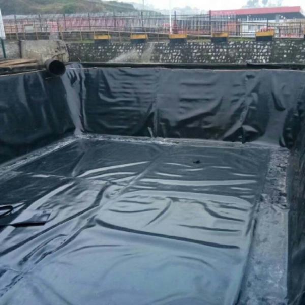 Comprimento 50-200m Design moderno Geomembrana lisa Piscina de peixe Liner para piscinas de peixe diretamente