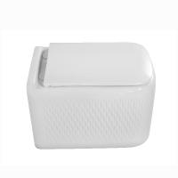 Wall Hung Toilet with Tornado Flush and Soft Close Seat