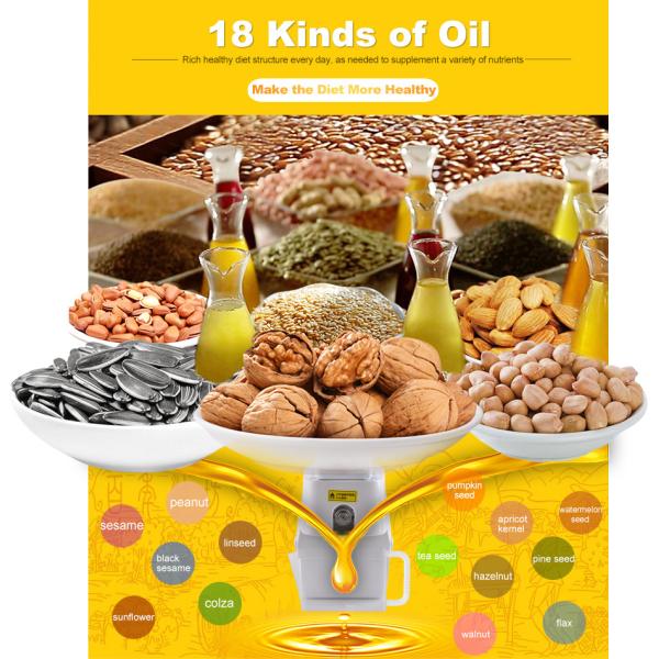 Best selling cold press oil machine and mini oil press machine in China supplier