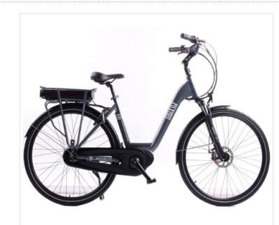 250w Electric Bike 36V/13ah rear Hub motor drive City ebike