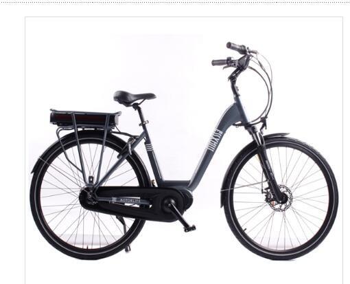 250w Electric Bike 36V/13ah rear Hub motor drive City ebike
