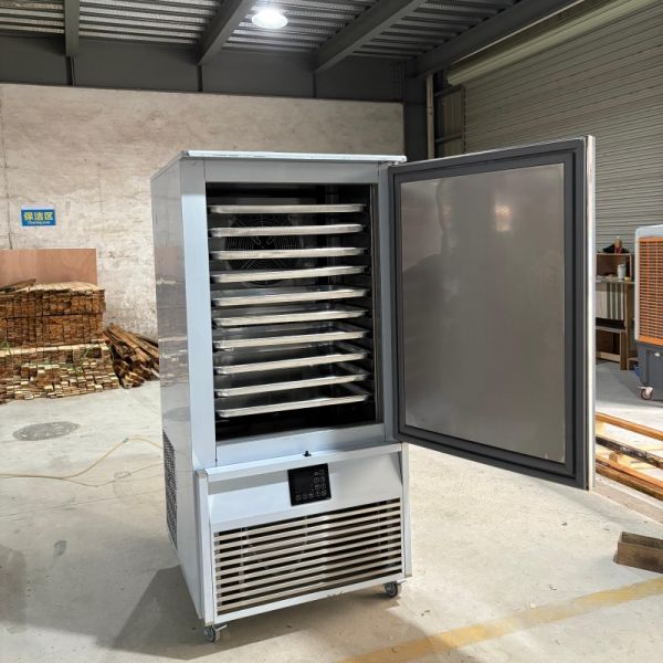 Industrial Air Blast Freezer Machine For Ice Cream Professional