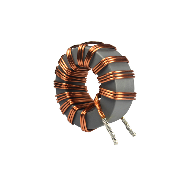 Custom Iron Powder Core Differential Mode Inductor For Industrial EMI Filter