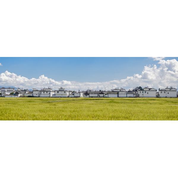 Black Organic Matter 80% Granulated Organic Fertilizer NPK 2-1-2