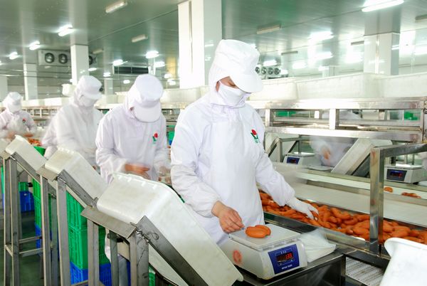Ham Sausage Production Line / Processing Line Hot Dog Salami Processing System