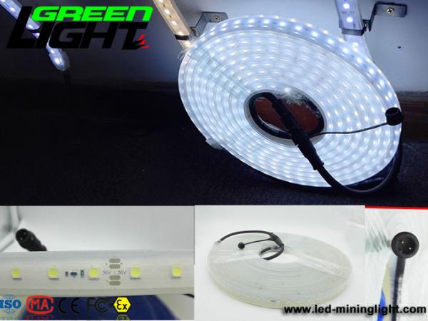 12v DC IP68 17W SMD5050 Flexible Led Strip Lights