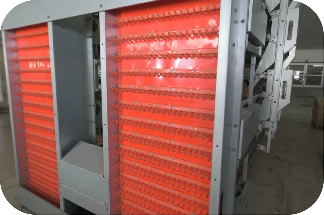 Hot Dipped Galvanized Poultry Layer Cage System H Frame 180 240 300 360 Birds/Unit