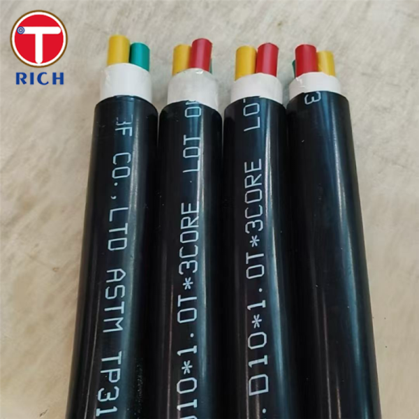 Multi-Core Stainless Steel Seamless Tube with Plastic Coating for Shipbuilding in 304L/316L/Duplex 2205 Grades and Cold Drawn/Hot Rolled Techniques